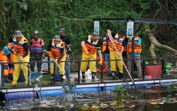 Peringati Hari Lingkungan Hidup Sedunia, PLN Gelar Aksi Bersih dan Olah Sampah di 54 Lokasi Se-Indonesia