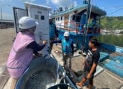 Jauh Lebih Hemat dan Cepat, Nelayan Tapanuli Tengah Kini Gunakan Listrik dari SPLU PLN di Tempat Pelelangan Ikan