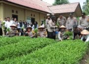 Polres Prabumulih Panen Sayur dari Kebun Ketahanan Pangan