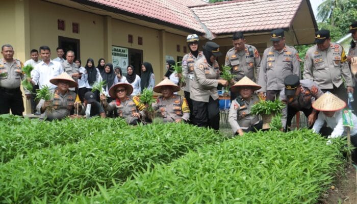 Polres Prabumulih Panen Sayur dari Kebun Ketahanan Pangan