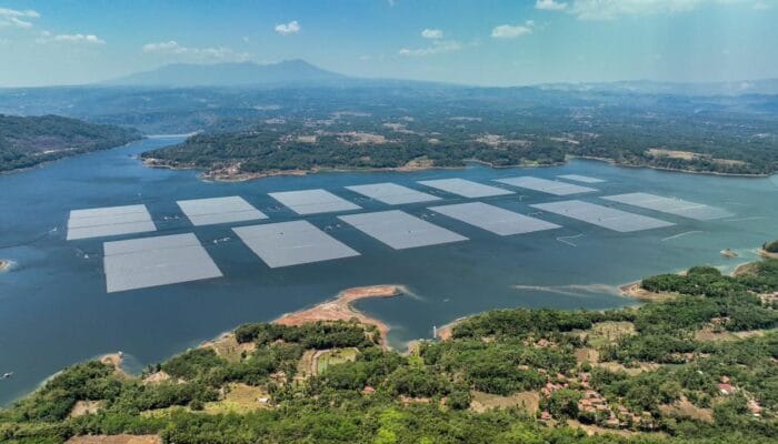 PLN Adopsi TNFD, Gandeng WWF Indonesia