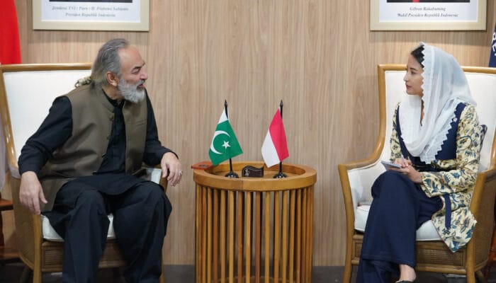 Wamendag dan Dubes Pakistan Bahas Penguatan Hubungan Dagang