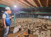 Tarif Listrik Triwulan I 2025 Tetap, PLN Jamin Pasokan Listrik Andal