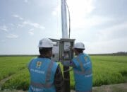 PLN Electrifying Agriculture Dukung Modernisasi Pertanian