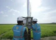 PLN Electrifying Agriculture Dukung Modernisasi Pertanian