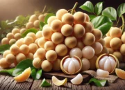 Buah Duku, Si Kecil dengan Segudang Manfaat Kesehatan