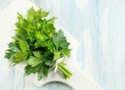 Daun Alami yang Bikin Kulit Sehat dan Glowing