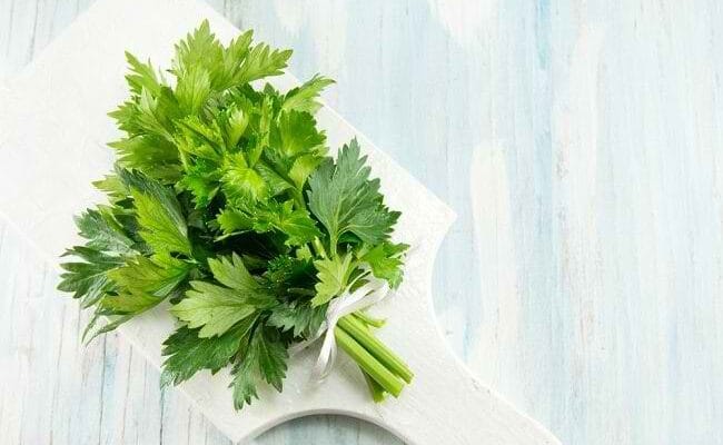 Daun Alami yang Bikin Kulit Sehat dan Glowing