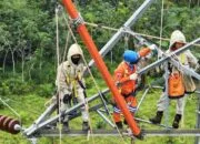 PLN Tingkatkan Keandalan Listrik, Lakukan Pemindahan Kabel Konduktor ke Tower Permanen