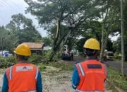PLN UP3 Lahat Perbaiki Jaringan Listrik Sambut Ramadan