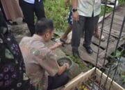 Tunaikan Janji, Ratu Dewa Bangun Rumah Warga dengan Dana Pribadi
