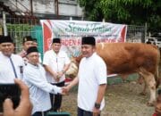 Gubernur Sumsel Herman Deru Tinjau Pemotongan Qurban Usai Shalat Jumat dan Open House Iduladha