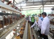 Banyuasin Jadi Role Model Peternakan Modern, Herman Deru Dorong Transformasi Industri Unggas