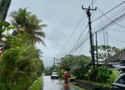 90,000 Customers Smile Again as PLN Restores Power in Bali After Disasters