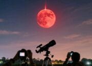 Harvest Blood Moon Malam Ini Warnai Langit Indonesia