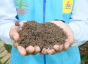 PLN Sambut Positif Penetapan SNI FABA untuk Dukung Pertanian Produktif dan Berkelanjutan