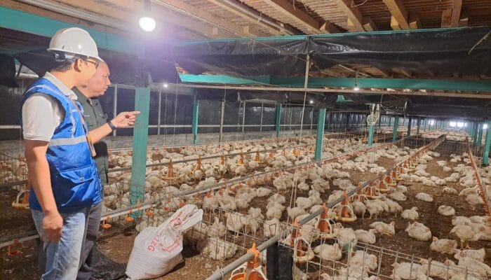 Tarif Listrik Tetap, PLN Tegaskan Komitmen Jaga Keandalan Layanan