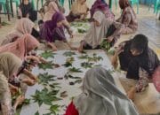 PEP Jambi Perkuat Peran Lansia Desa Kota Karang Lewat Program SENJA KARSA