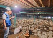 Tarif Listrik Triwulan II 2026 Tidak Naik, Pemerintah Jaga Daya Beli Masyarakat