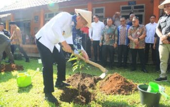 Wagub Sumsel Cik Ujang Tanam Pohon di SMAN 1 Lubuklinggau, Dorong Terwujudnya Sekolah Hijau