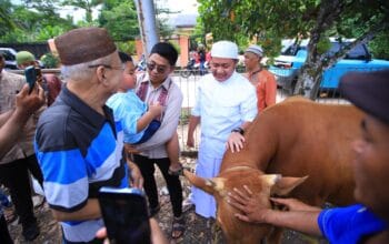 Gubernur Herman Deru Serahkan Hewan Kurban, Ziarah Keluarga hingga Kunjungi Wisata Religi Al Quran Raksasa di Hari Raya Idul Adha