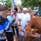 Gubernur Herman Deru Serahkan Hewan Kurban, Ziarah Keluarga hingga Kunjungi Wisata Religi Al Quran Raksasa di Hari Raya Idul Adha