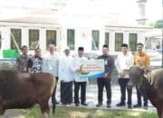 Iduladha 1447 H, Bank Sumsel Babel distribusikan Bantuan Hewan Kurban ke Masyarakat Sumsel dan Babel