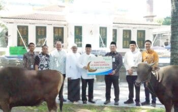 Iduladha 1447 H, Bank Sumsel Babel distribusikan Bantuan Hewan Kurban ke Masyarakat Sumsel dan Babel