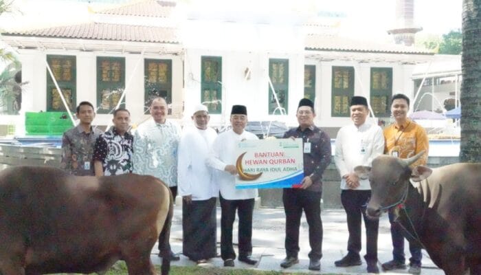 Iduladha 1447 H, Bank Sumsel Babel distribusikan Bantuan Hewan Kurban ke Masyarakat Sumsel dan Babel