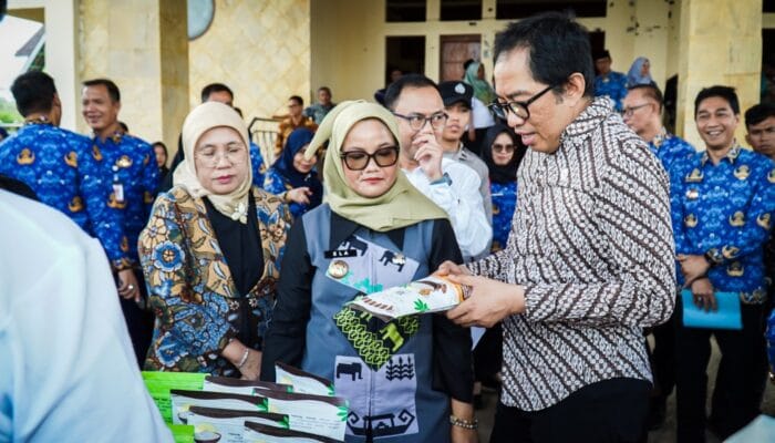 Lampung Hasilkan 51 Persen Singkong Nasional, Kini Dibidik Jadi Pusat Hilirisasi