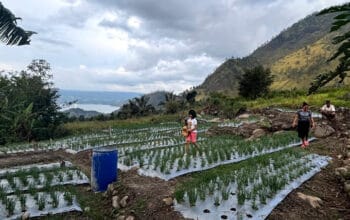 Teknologi Irigasi Tetes Karya Mahasiswa UGM Bantu Petani Samosir Hadapi Musim Kemarau