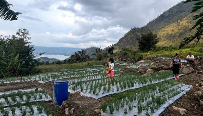 Teknologi Irigasi Tetes Karya Mahasiswa UGM Bantu Petani Samosir Hadapi Musim Kemarau