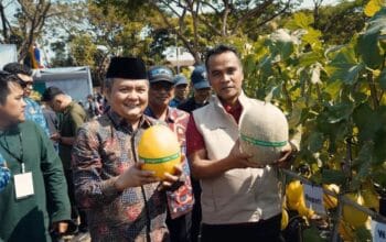Melon UTM Dipanen, Bupati Bangkalan Soroti Pentingnya Inovasi Pertanian Berbasis Kampus