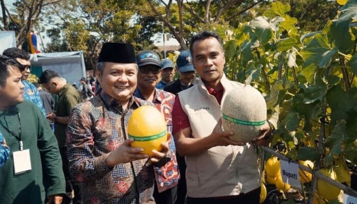 Melon UTM Dipanen, Bupati Bangkalan Soroti Pentingnya Inovasi Pertanian Berbasis Kampus