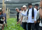 Produktivitas Kopi Gayo Meningkat, Pemerintah Pusat Siap Tambah Dukungan Sarana Pertanian