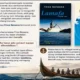 Novel Lamauri Angkat Perjuangan Perempuan Lamalera Melawan Stigma Sosial