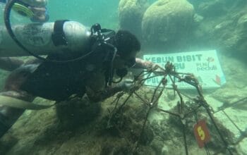 696 Program, 301 Ribu Penerima Manfaat: Jejak TJSL PLN di Berbagai Daerah