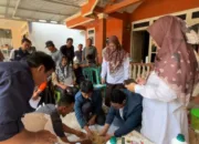 Bukan Obat Biasa, Tanaman Ini Diolah Jadi Pakan Ayam dengan Teknologi Nano