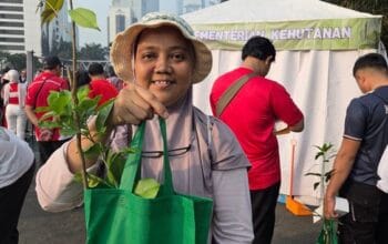 Bukan Cuma untuk Pemilik Lahan Luas, Bibit Gratis Kemenhut Bisa Ditanam di Pot