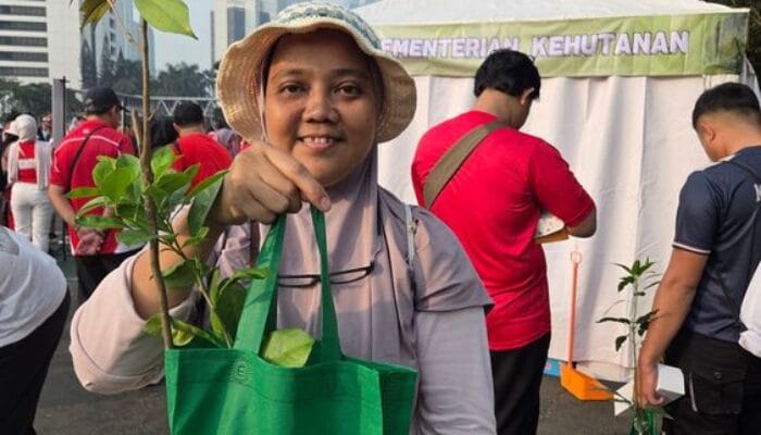 Bukan Cuma untuk Pemilik Lahan Luas, Bibit Gratis Kemenhut Bisa Ditanam di Pot