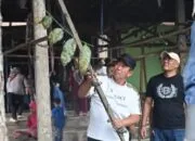 Langkah Preventif Musim Hujan,Wako Pagar Alam Pimpin Pembersihan PTM